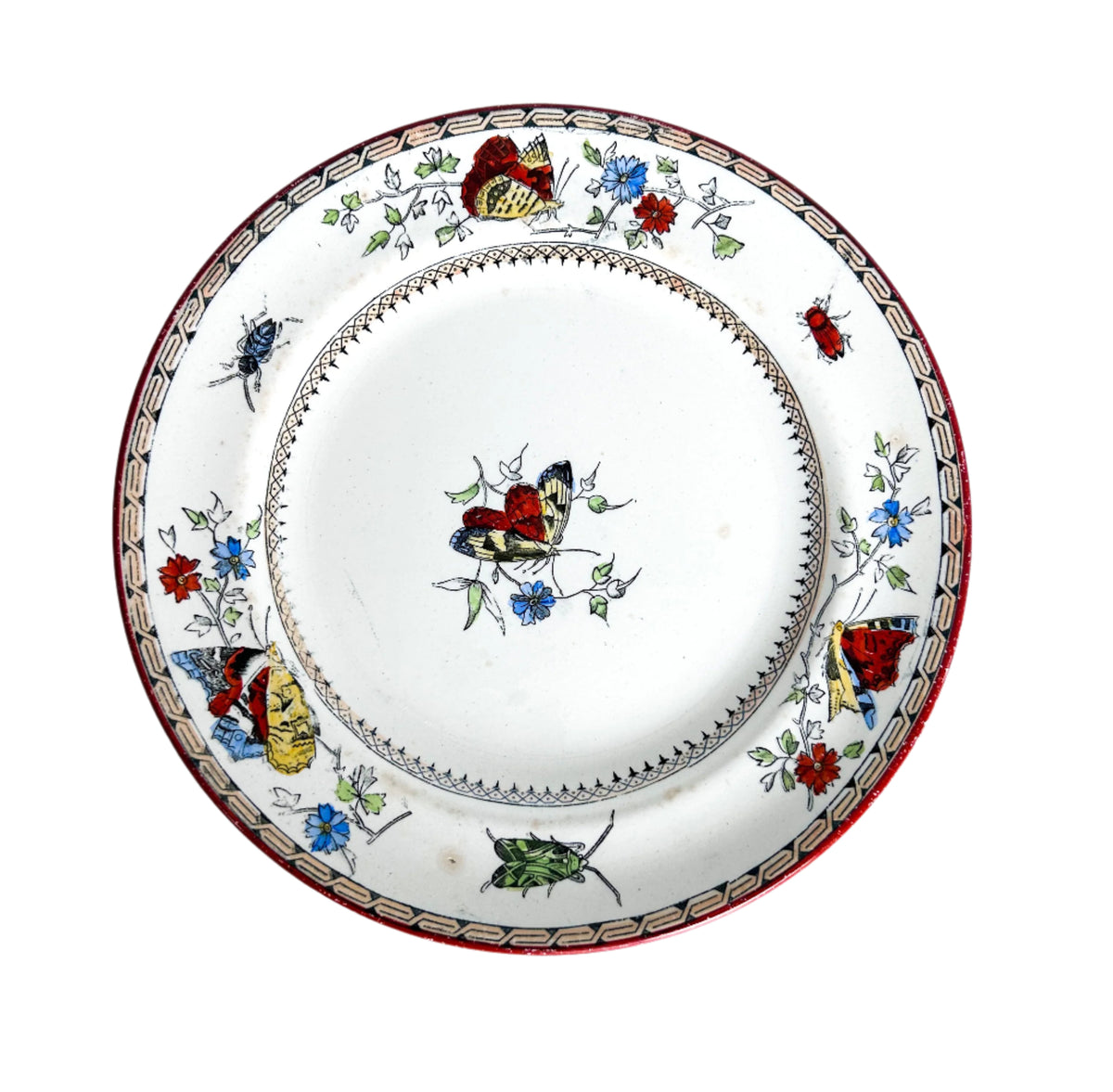 Antique Insect Plate Pair | kathrynchaplowcollect