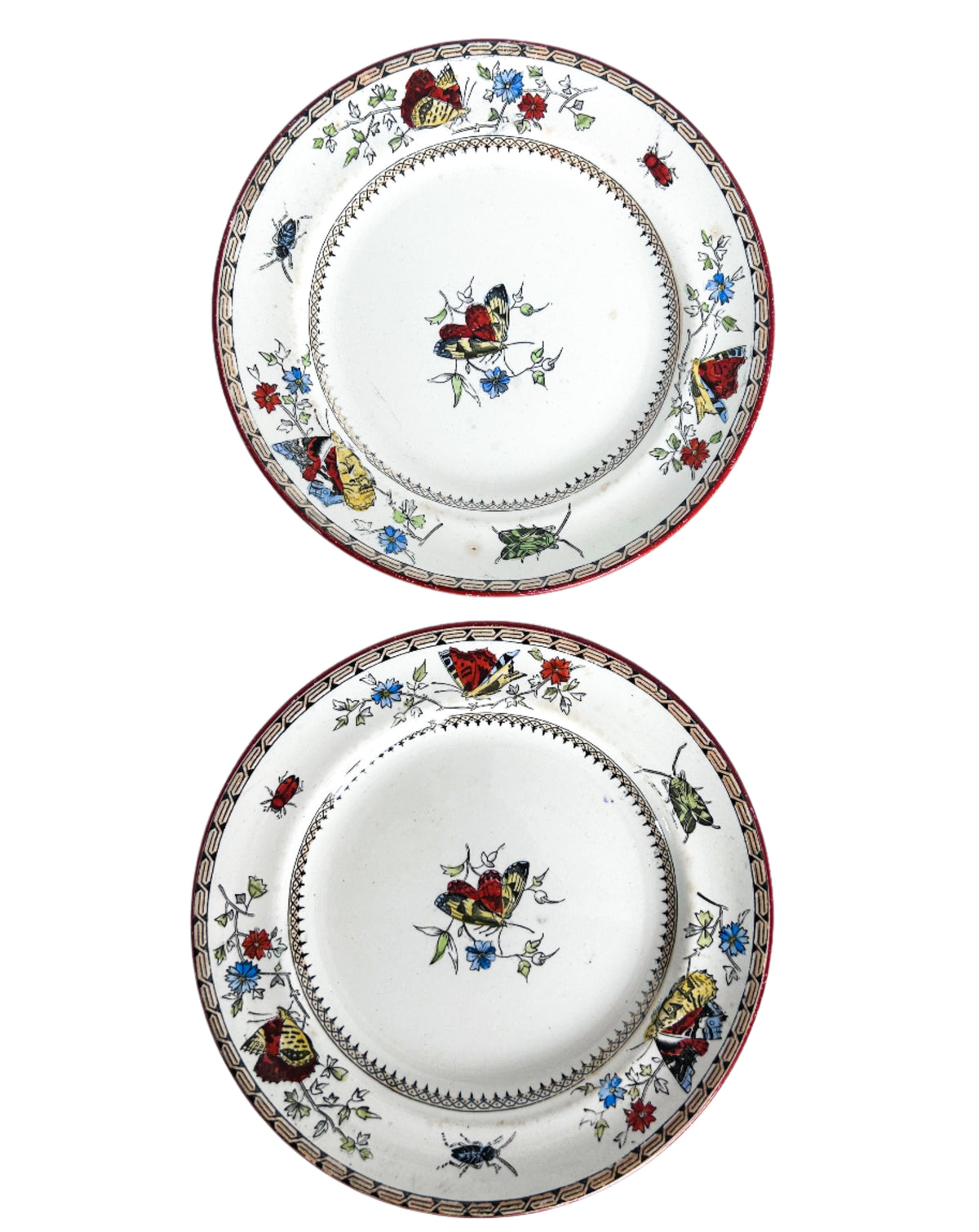 Antique Insect Plate Pair | kathrynchaplowcollect